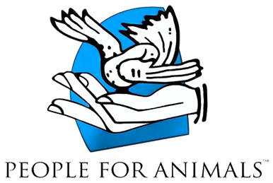 NGO Partner